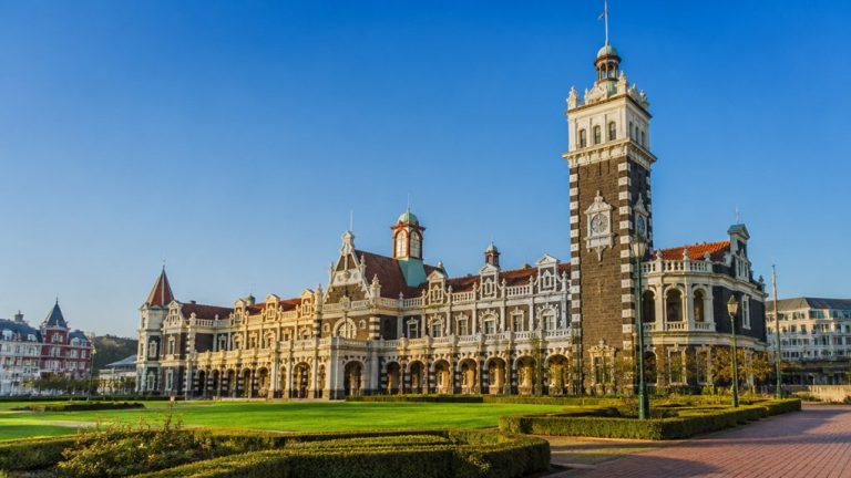 dunedin cruise port information