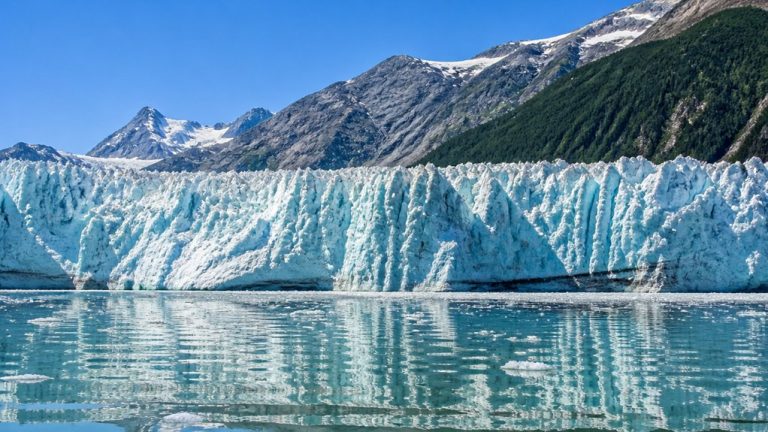 glacier bay cruise information guide
