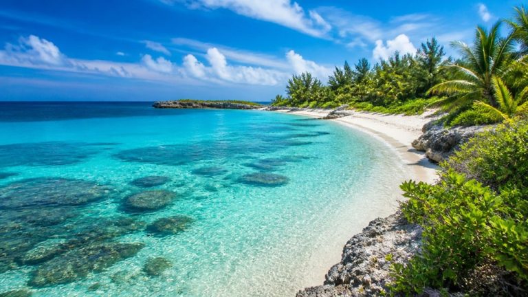 great stirrup cay guide
