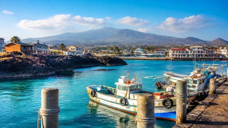jeju cruise port information