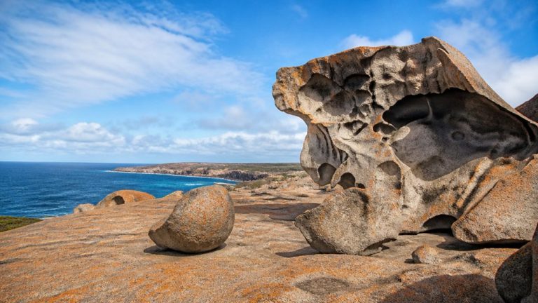 kangaroo island cruise information