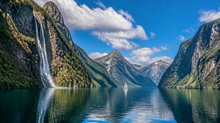 milford sound cruise information