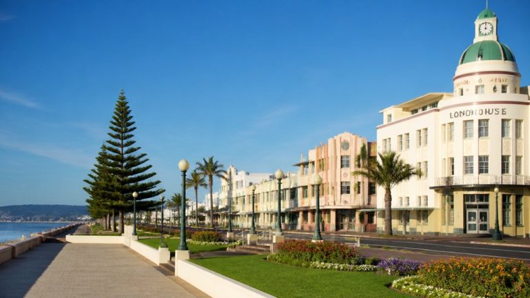 napier cruise port guide