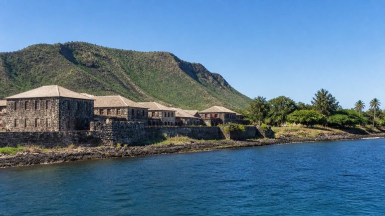willis island cruise information